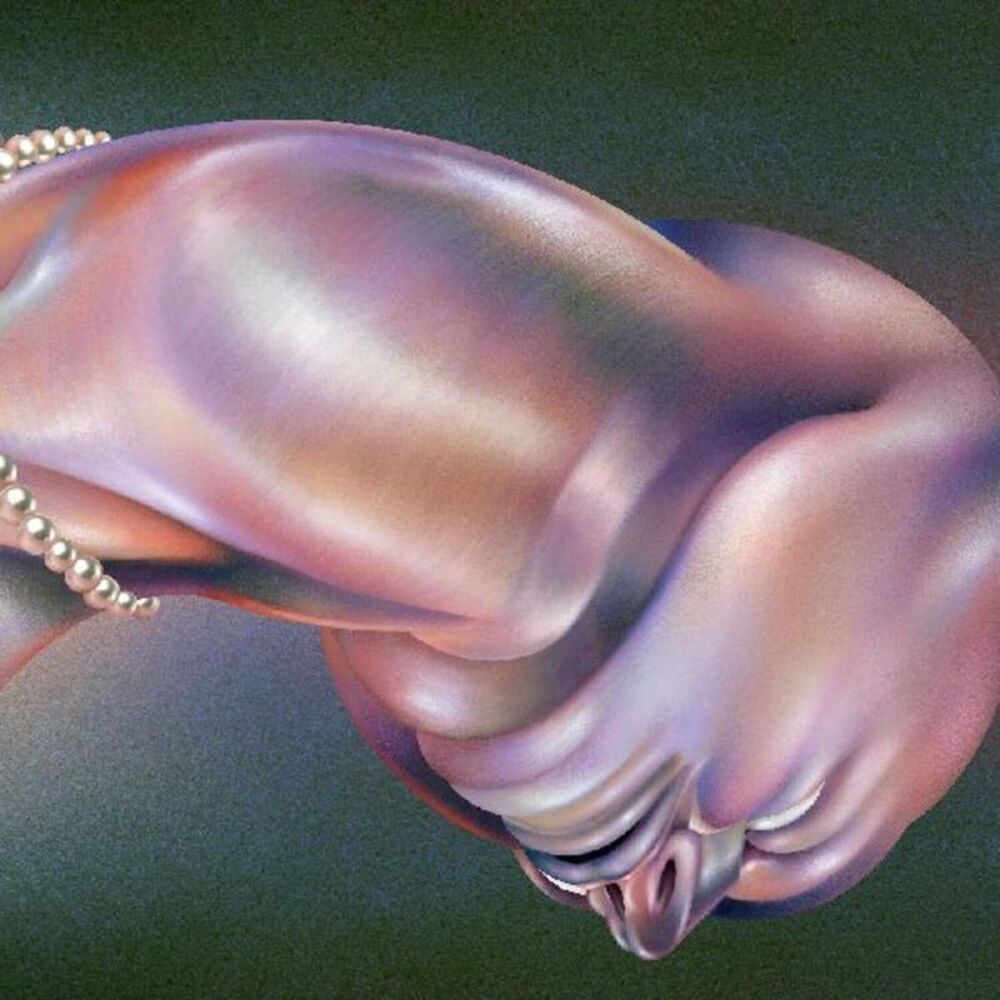 Walt Disco - The Warping  CD